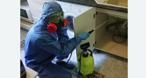 Уничтожение муравьев в квартире. Карабулак