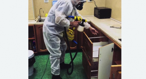 Уничтожение насекомых в квартире. Карабулак