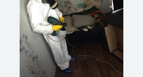 Обработка квартир от насекомых в Карабулаке