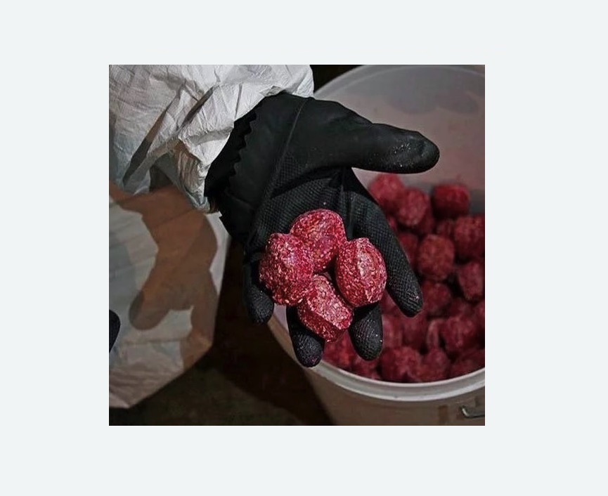 Обработка от крыс в Карабулаке