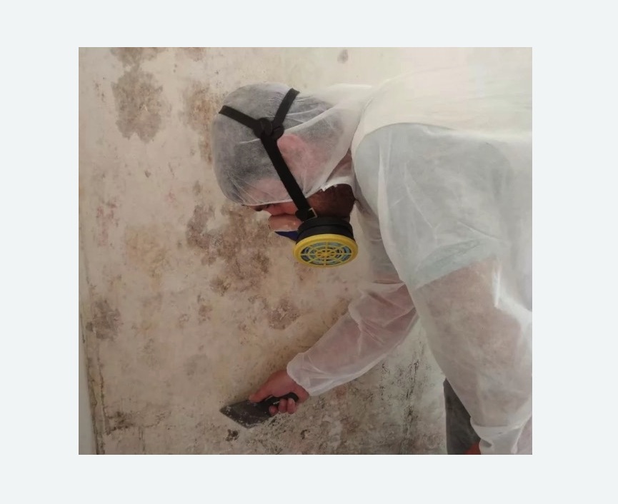Обработка стен от плесени в Карабулаке