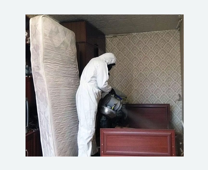 дезинфекция от клопов в Карабулаке