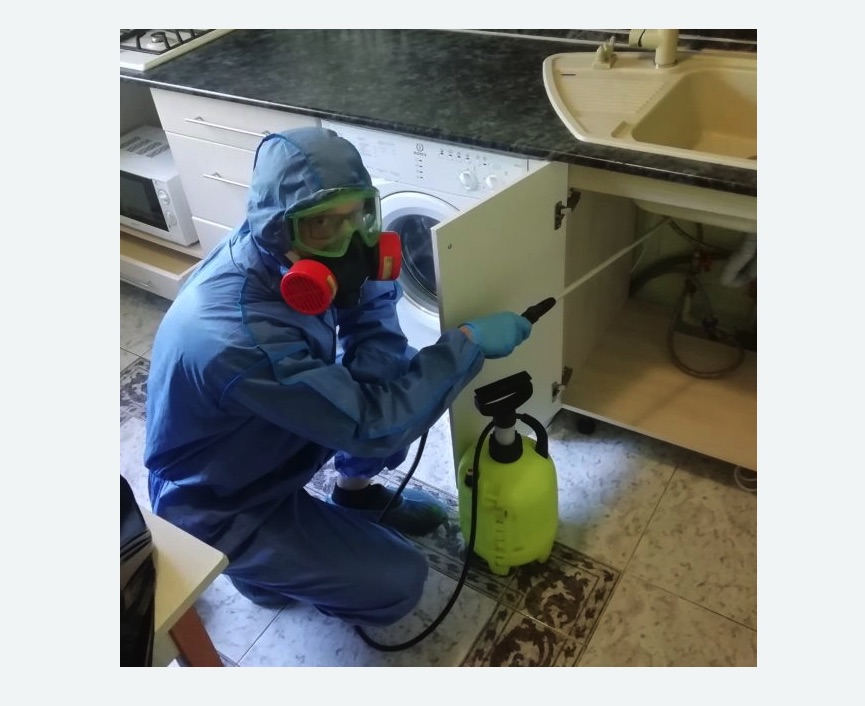 обработка от муравьев в квартире в Карабулаке