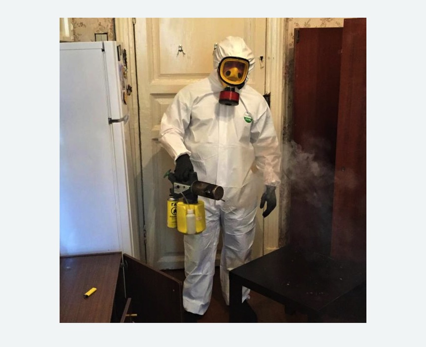 уничтожение муравьев в квартире в Карабулаке